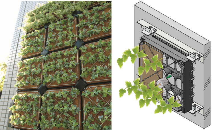 壁面緑化システム