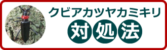 クビアカツヤカミキリ対処法